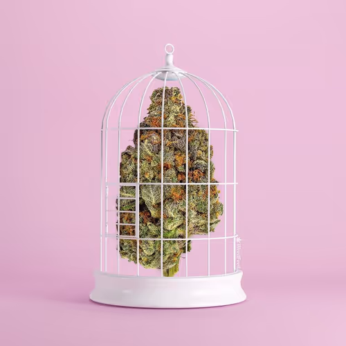 Item #276618171581163995688451181711762959038558310937804576463711717514733944833 Media