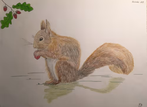 Item #106870078454534698311606461225664382982354268042883800261475775694709943435265 Media