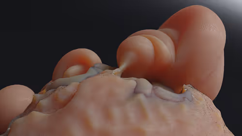 Item #87858548873057691610145785827924316116903784724900626045837508997009146642437 Media