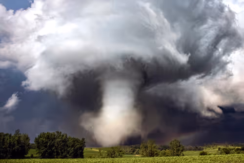 Item #46154160826271547341634704556143841503597126410650149385483954185452644204545 Media