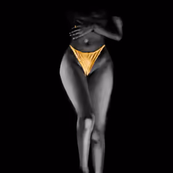 The Golden Spirit