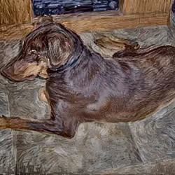 Gogh Dog #4201