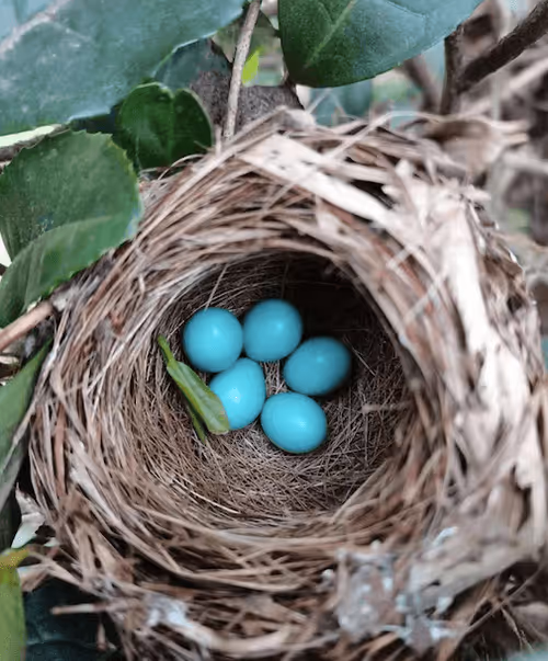 Item #56884892449540335309080524570492784893214118658158272266381704733488811343873 Media