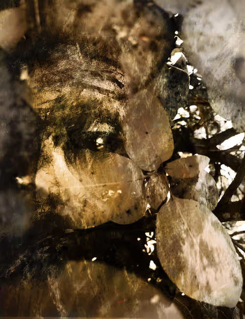 Item #43486627025047372311211479891111906998226383946028665950192622762643853148161 Media