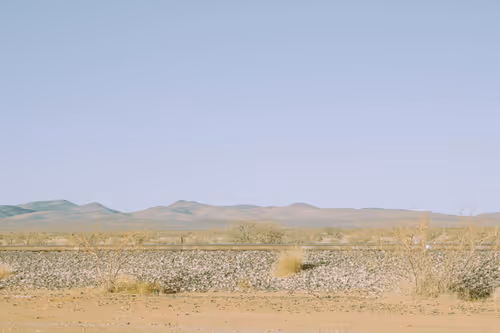 Item #59289559974989153339537177586835071468773347451990406797747693849893022990337 Media