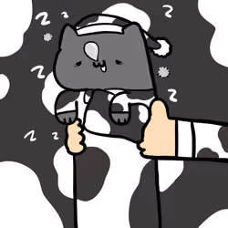 Long Long Sleepy Cat #0156