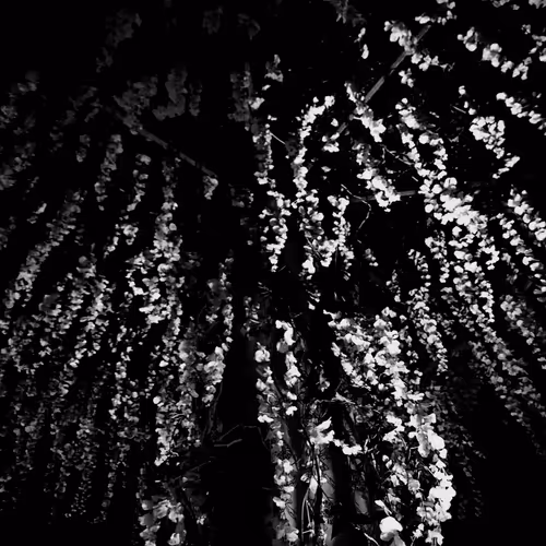 Item #72348564083927579296294709524659638774248671512302450229374812342025277407233 Media