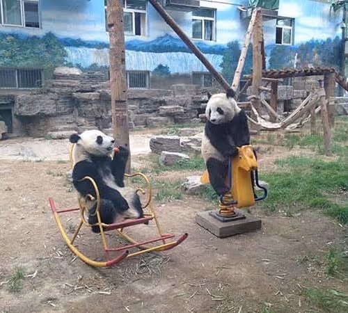 Untitled Collection #116413153 - old