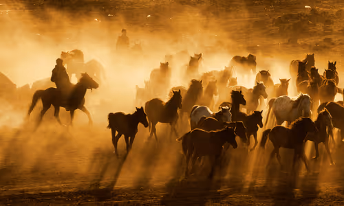 Cowboy's