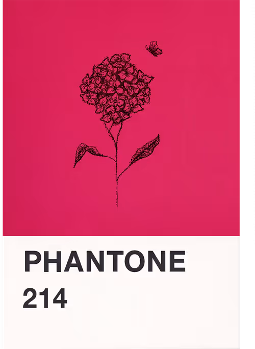 Item #23619072769629648887099014645842319039725167025197022934232545107926774185985 Media