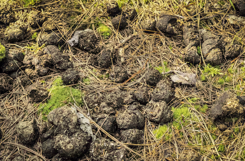 Item #78614967916850878758896281278088562819031429561597845143063368073975991107585 Media