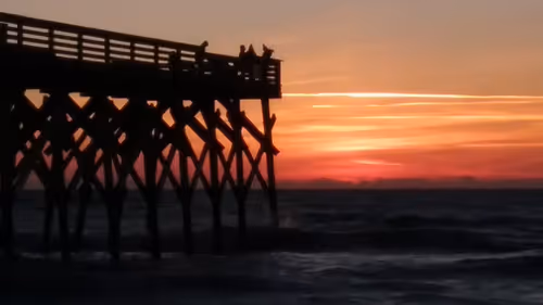 Item #31034686218974135791742659771557221930689516022793275851118188468549479038977 Media