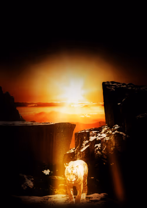 Item #33666551535504522030171567501508096477250478042702370837447251544811881103361 Media