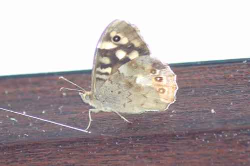 51124555051901614330264480006545612592022390906904121289505624542617515589633