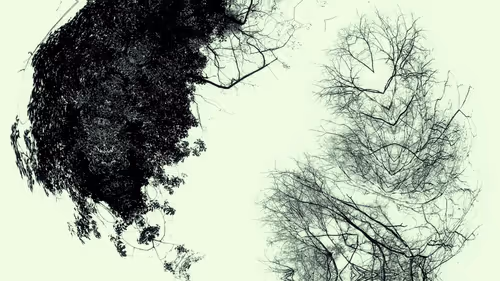 Item #24967146477419090921560663038626653354572651960968859782515528547204077715457 Media