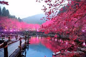 68925451145284047043035107511493042063960384441166646280538161565381475434497