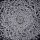 40090172695085413256965535555586358742660933280315103792741769833367625369248