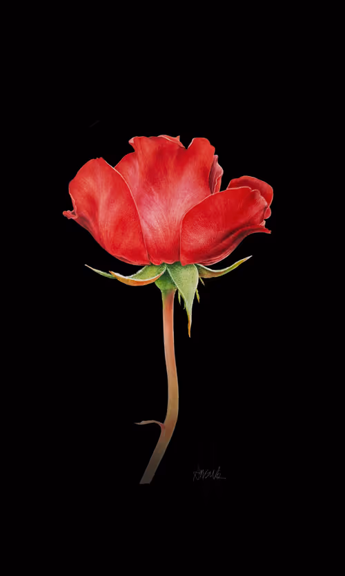 Item #113489034304621262780688231826605953110850630037048369512317058355775011815429 Media