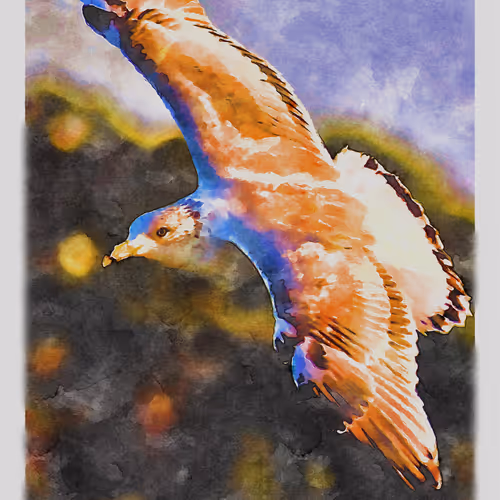 55704534837685659622621715309832868758345944585427688586690141378380459671553