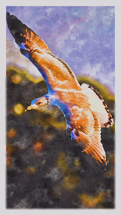 Item #55704534837685659622621715309832868758345944585427688586690141378380459671553 Media