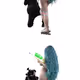 85758719939365659966560021936638035843382532653143217414825757926261103001601