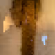 2850415134272365380187775685678842410458265265709128331682257573345979531265