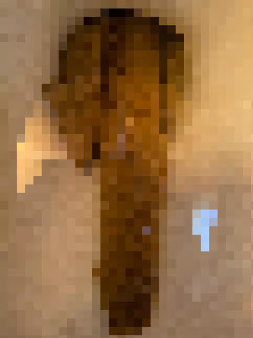 Item #2850415134272365380187775685678842410458265265709128331682257573345979531265 Media