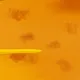 Shitty Shitcoins #135 Bitcoin Shitty Nimbus