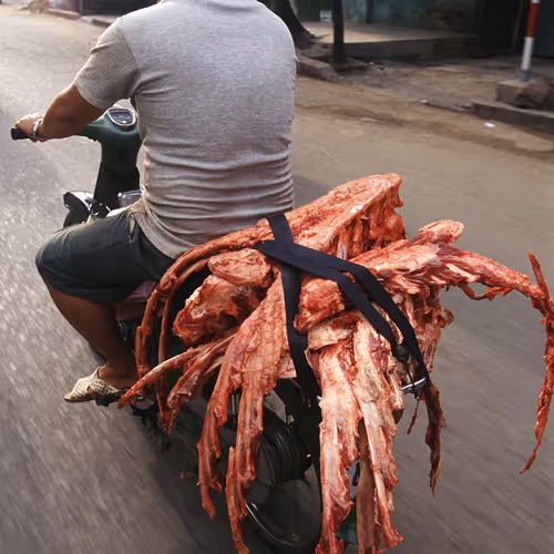 Bikes Of Burden