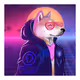 Doge Collar Club