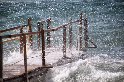 Item #86244390159235819721796975477161072392677410114499629462592446088617073311745 Media