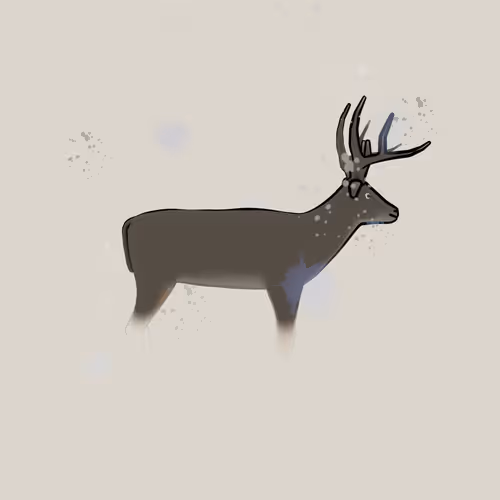 Item #69138463628055130752926986854805628699680031496795916797807466080963326377985 Media