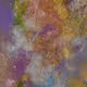 Semi randomly generated paintings - painted by roaches