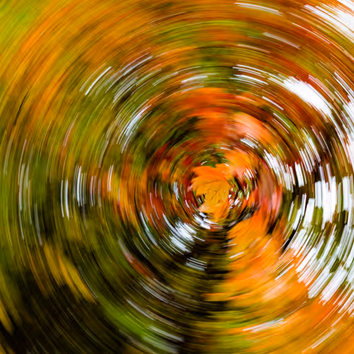 Item #9566349108743429006839101100921653396136012468553527091874592575588963188737 Media