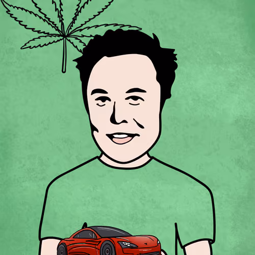 Hash Musk #33