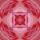 57134048950035080603544509646544535649669831331442711951718619443174559449089