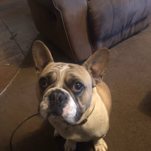 Untitled Collection #261039876