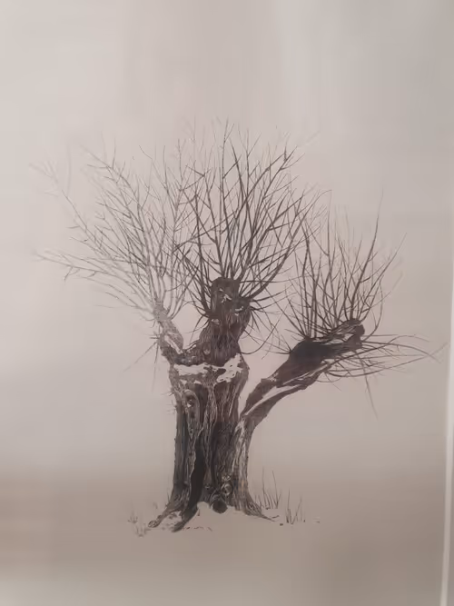 Item #46787998641364731627679955056960783733233035311239644218591245366025399566337 Media