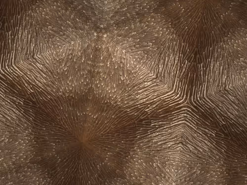 Item #69376820955182207634374405090115864776049539168882178084902512055939166633985 Media