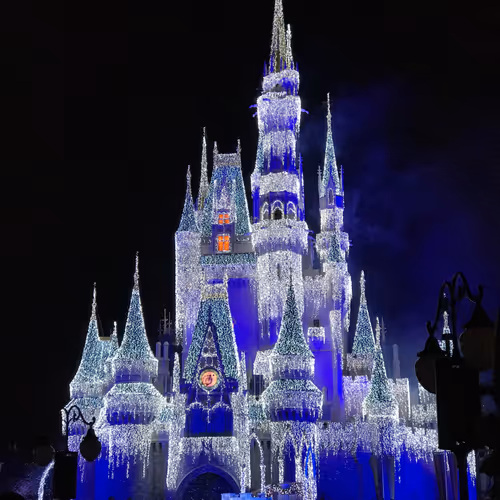 Untitled Collection #242936812