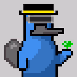 Platy Punk #135