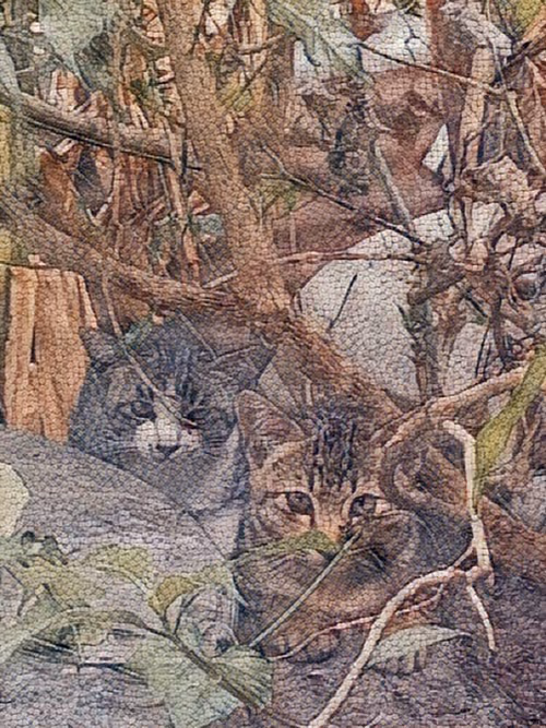 Item #81269833061274051173789884418282317830923519221172308843662164464778398924801 Media