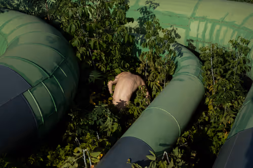 Item #90759427057310509927547570395708714779512351118091613108582219568344773689345 Media