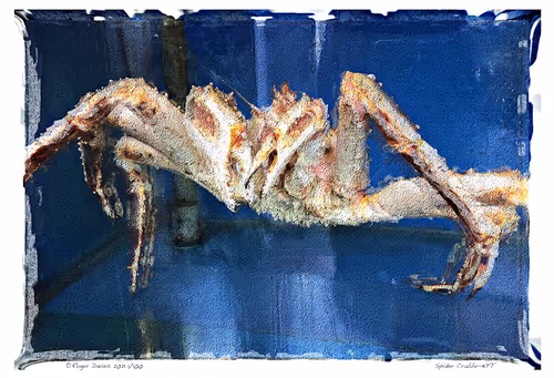 Item #6968899724388266606176016145545160509277227480062482001621938904167966834788 Media