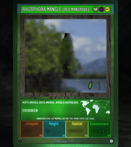 73412372274297784710279054145181842019162569346562246022835392860458263248902