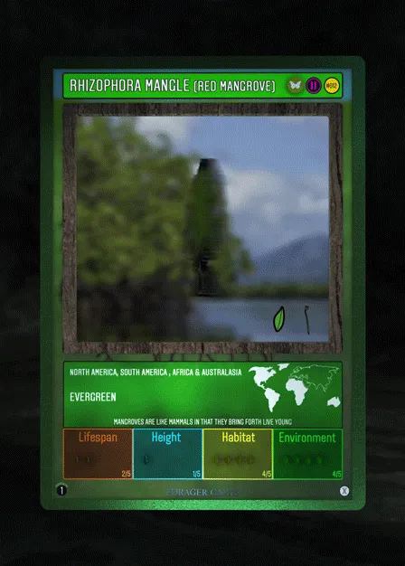 Item #73412372274297784710279054145181842019162569346562246022835392860458263248902 Media