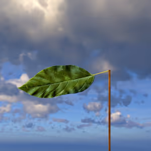 Item #108271561219410126438885171798473668351763019664133280601583571517646619803649 Media