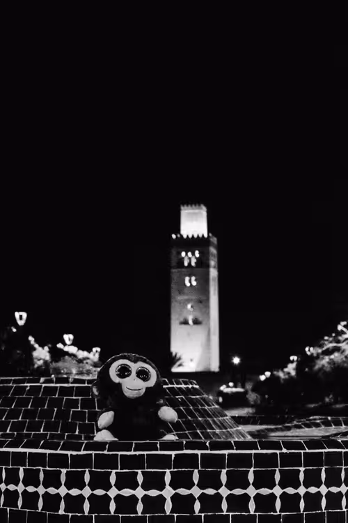 Item #78523124948883737191824425685370443041181342440538518293301156652571481341953 Media