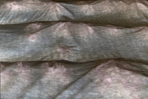 Item #40278163781146387807919824223492945877750948775305722317404597033881607077889 Media