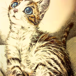 113318379478325656785259569879861967120390302335406258855543849569869182795777